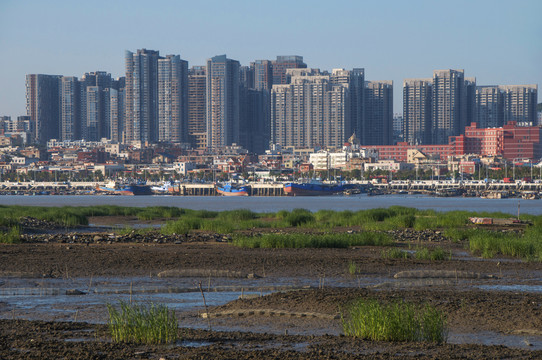 城市边缘的渔村