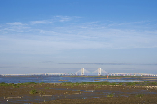 湿地和跨海大桥