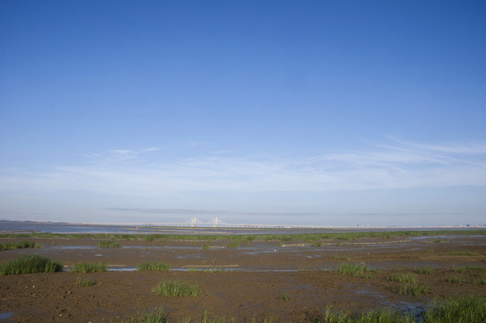 泉州湾晋江河口湿地风景