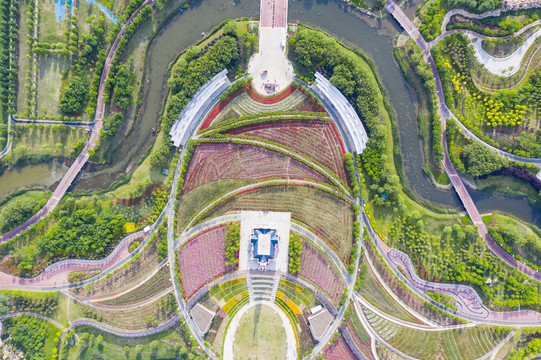月季公园风光
