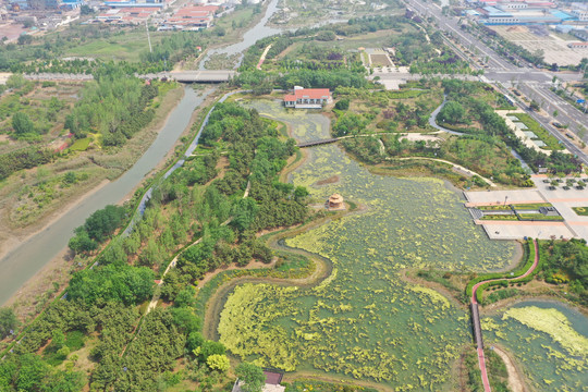 日照市岚山区湿地公园