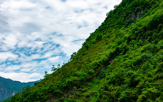 绿水青山