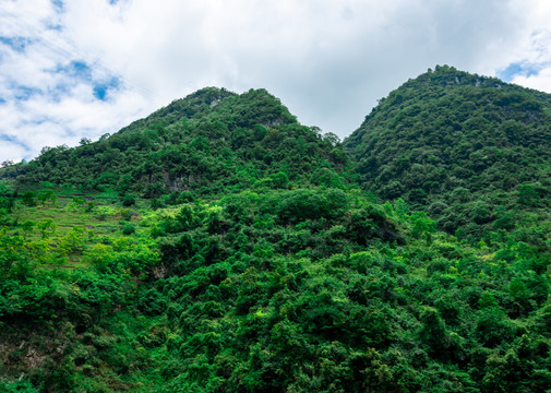 绿水青山