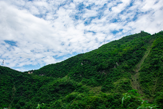 绿水青山