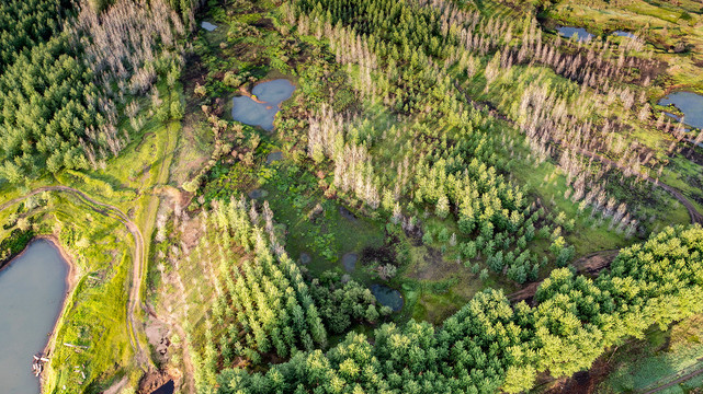 齐齐哈尔明星岛国家湿地公园