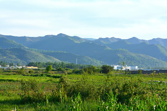 乡村风光