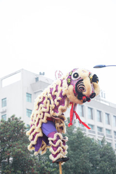 舞狮表演