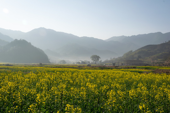 江西婺源篁岭景区