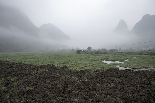 唯美乡村风景雾景宁静田园风光