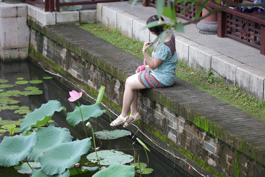 惠州西湖观赏荷花的美女们