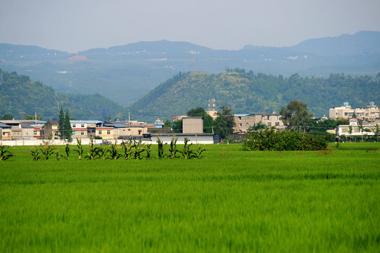 乡村田园