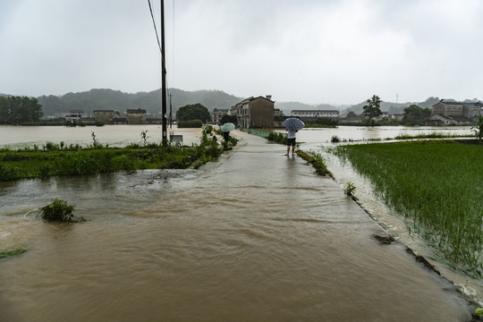 暴雨洪水水灾