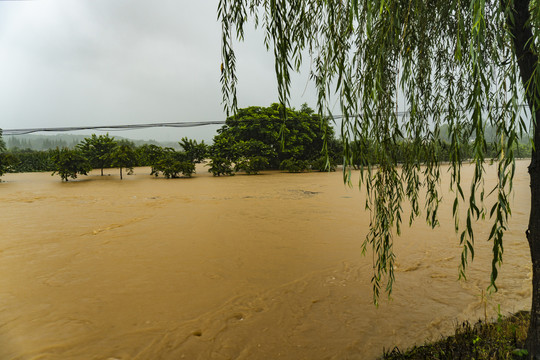 暴雨洪水水灾