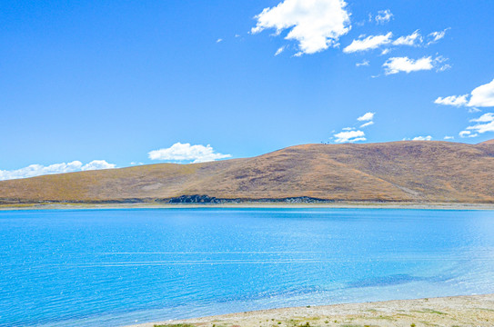 西藏羊湖风景区