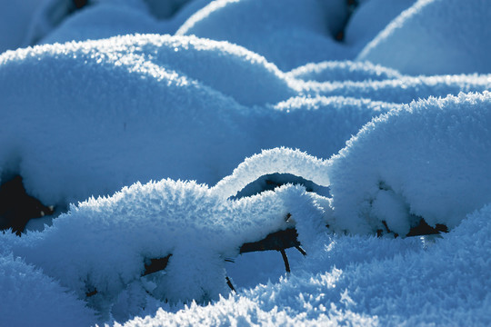 东北雪包雪馒头晶莹雪花