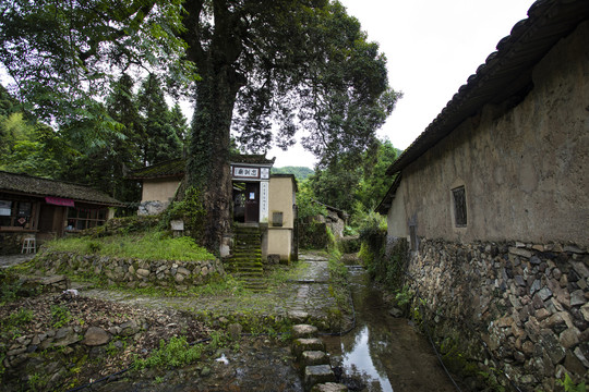 浙江温州泰顺徐岙底古村