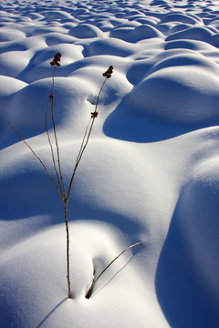 雪包