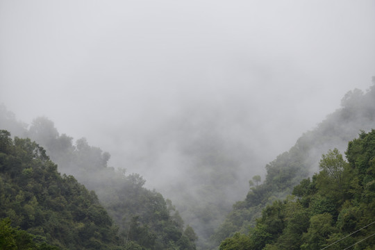 高山晨雾