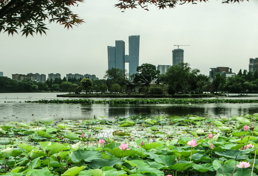 南京莫愁湖