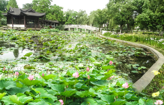 南京莫愁湖