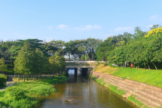 深圳中心公园福田河公路桥