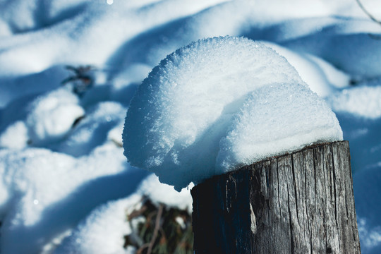 木桩雪包雪馒头冬季