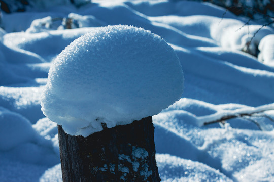 木桩雪包雪馒头