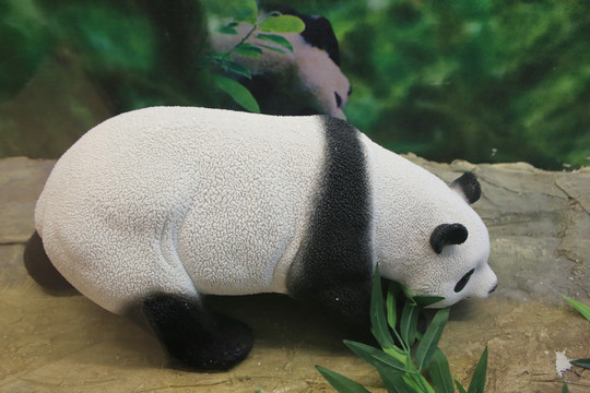 汶川大熊猫雕像