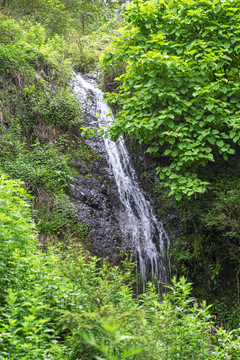 青山绿水