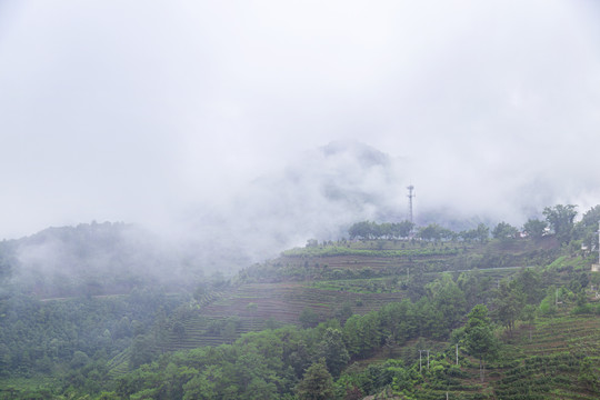 雾气缭绕