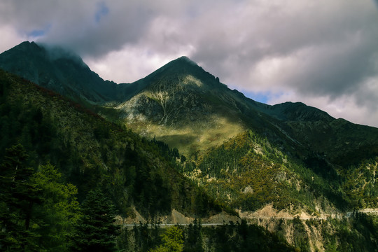 路上的风景