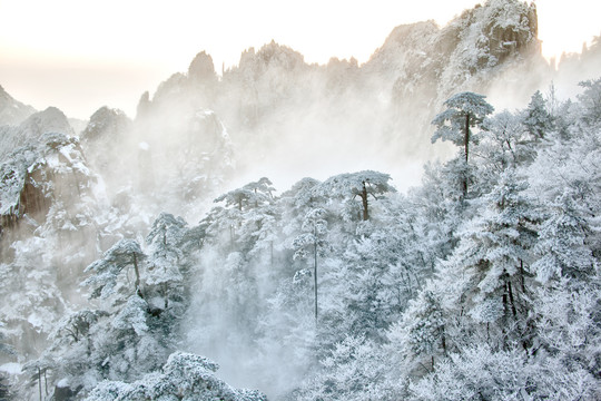 黄山雪景