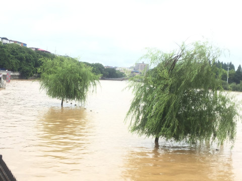 道县2022年洪水