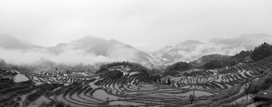 江南高山梯田稻田烟雨朦胧风光