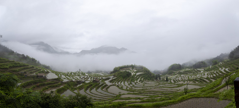 江南高山梯田稻田烟雨朦胧风光