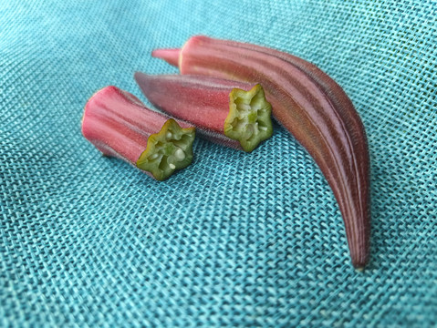 蔬菜红秋葵