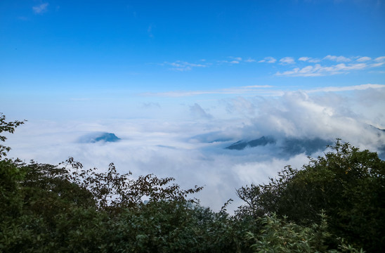 中国贵州铜仁梵净山云海