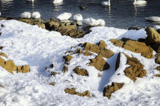 雪景