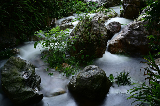 溪流河流