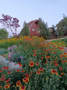 小屋与花圃