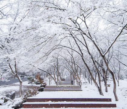 南京栖霞山雪景