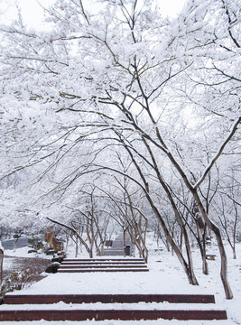 南京栖霞山雪景