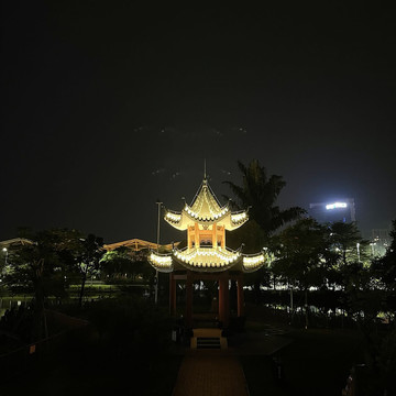 夜景紫马岭公园