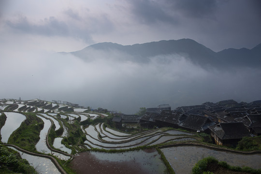 加榜梯田