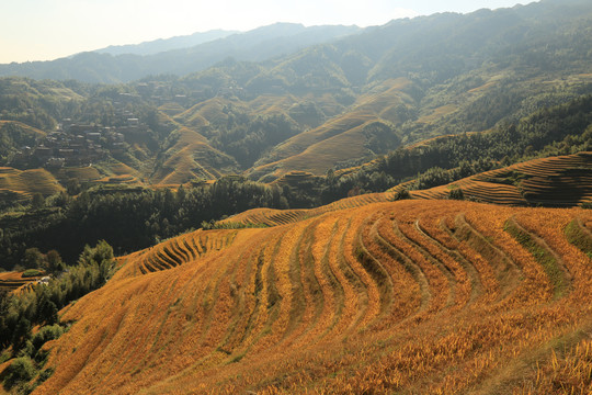 龙胜梯田风光