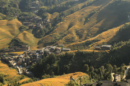 龙胜梯田风光