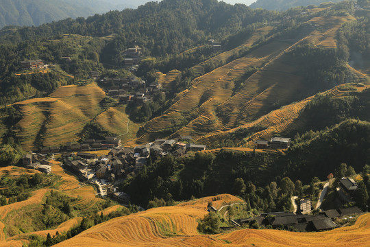 龙胜梯田风光