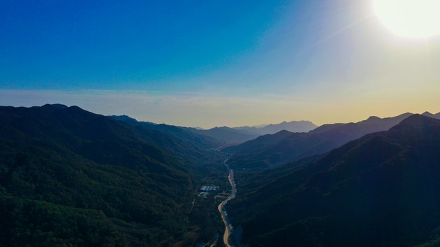 水域黄叶