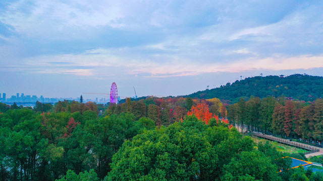 东湖