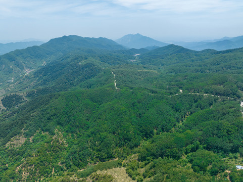 济南药乡森林公园